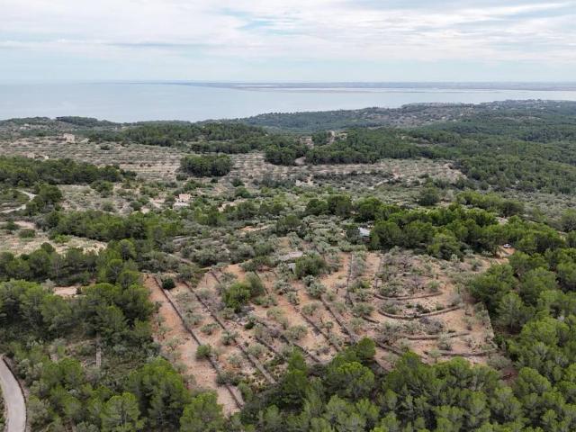 Finca rústica en Venta en El Perelló