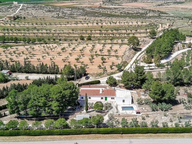 Finca rústica en Venta en El Pinós / Pinoso