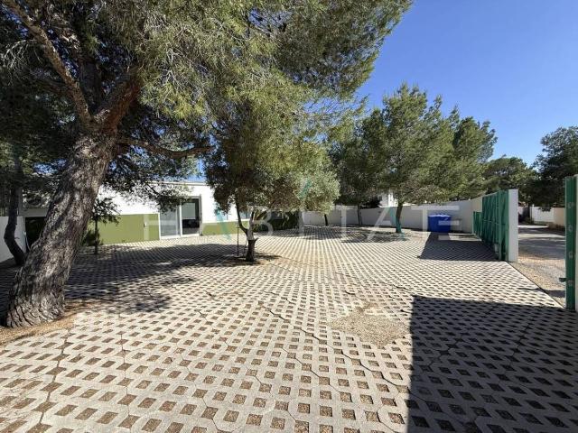 Finca rústica en Venta en El Pinar de Campoverde
