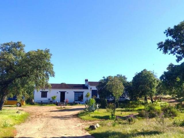 Finca rústica en Venta en El Ronquillo