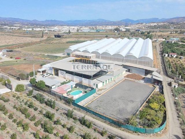 Finca rústica en Venta en El Tomillar