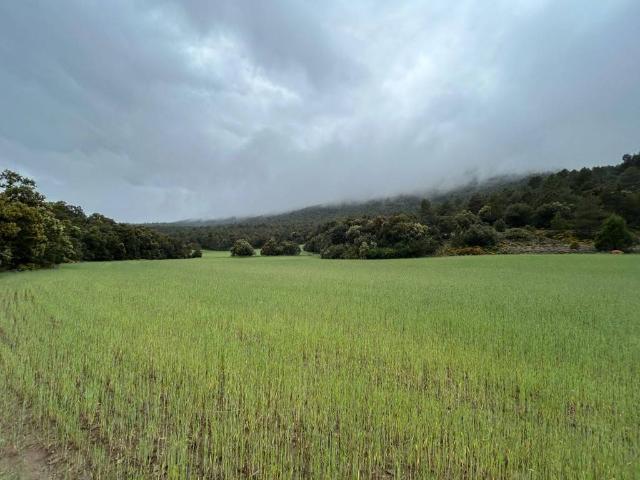 Finca rústica en Venta en El Toro