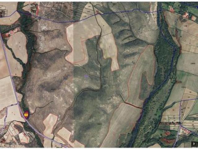 Finca rústica en venta en El Vellón