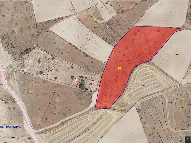 Finca rústica en venta en El Vellón