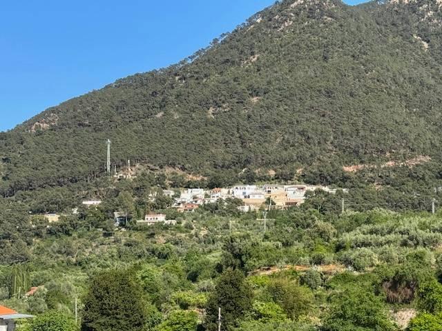 Finca rústica en Venta en Eslida
