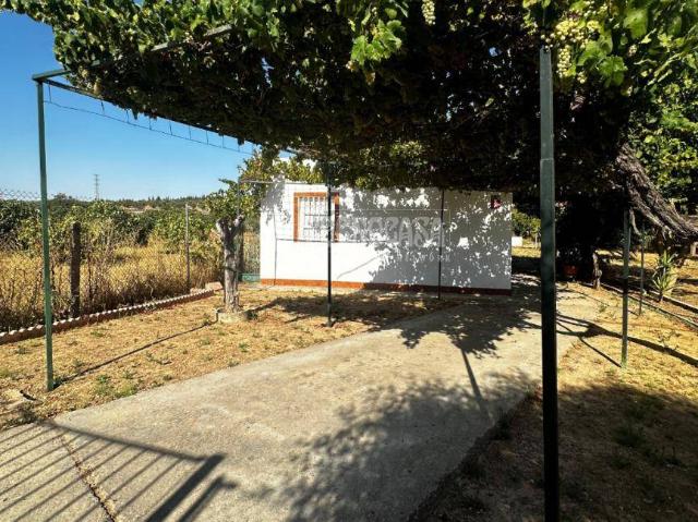 Finca rústica en Venta en Espartinas Pueblo