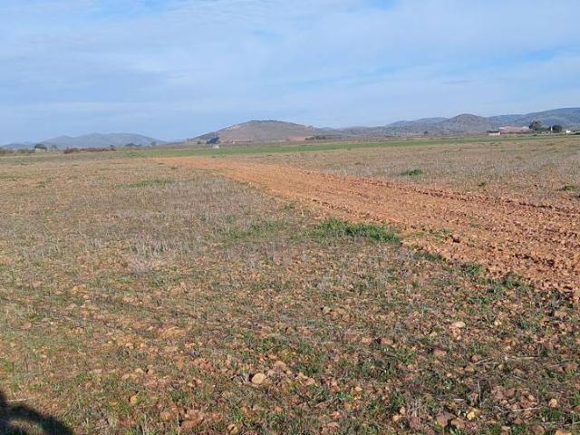 Finca rústica en Venta en Fuente el Fresno