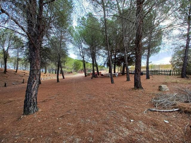 Finca rústica en Venta en Fuensanta