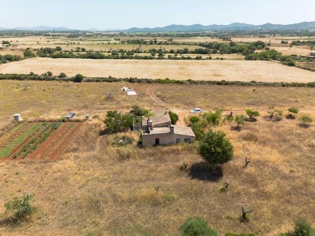 Finca rústica en Venta en Felanitx Poble