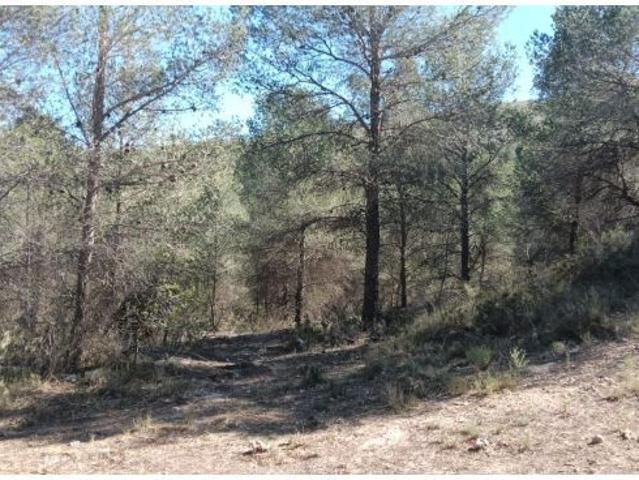 Finca rustica en Venta en Finestrat, Alicante