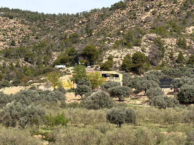 Finca rústica en Venta en Flix
