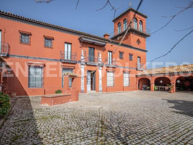 Finca rústica en Venta en Guadalcanal