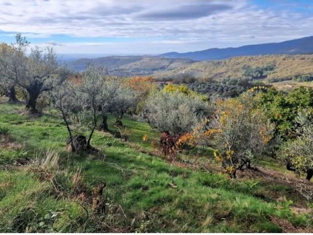 Finca rustica en Venta en Guijo de Santa Bárbara, Cáceres
