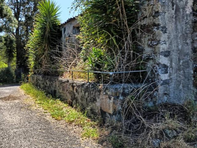 Finca rústica en Venta en Garachico