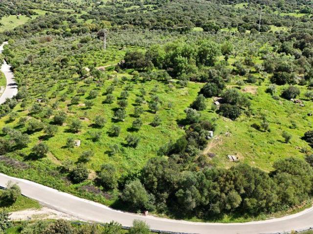 Finca rústica en Venta en Gaucín