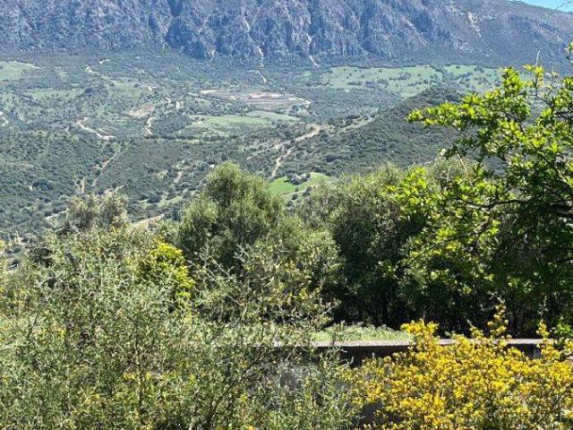 Finca rústica en Venta en Gaucín