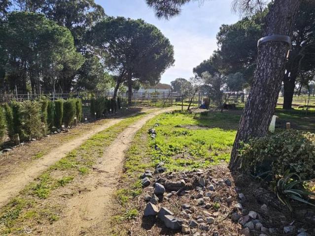 Finca rústica en Venta en Gibraleón