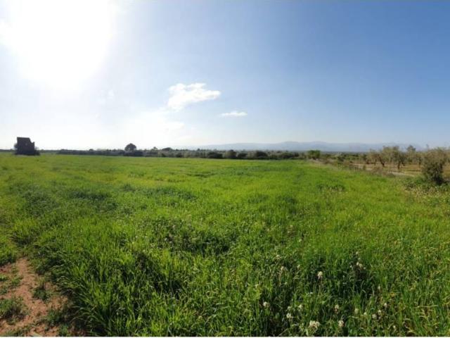 Finca rustica en venta en Godall