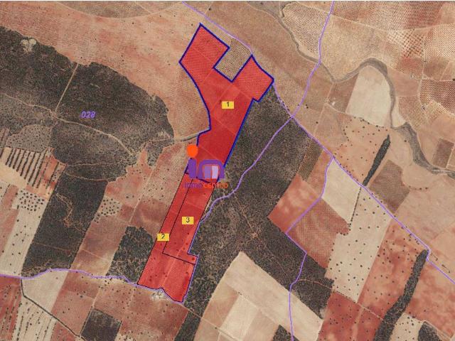 Finca rústica en Venta en Granátula de Calatrava