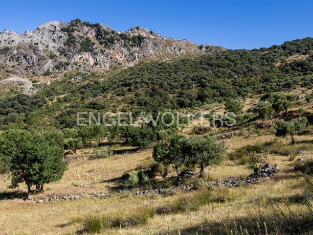 Finca rústica en Venta en Grazalema