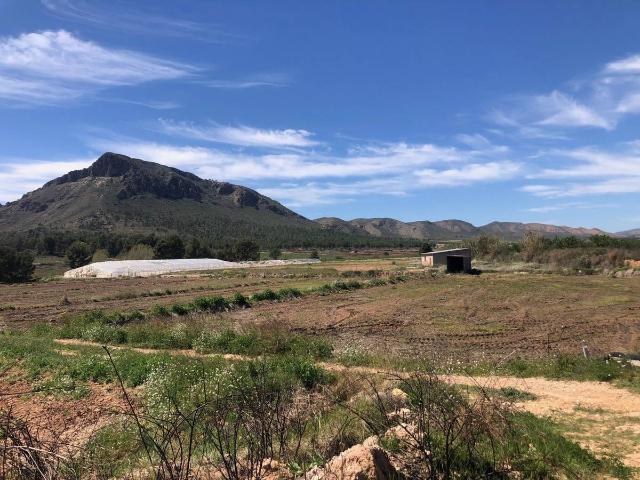 Finca rústica en Venta en Hellín