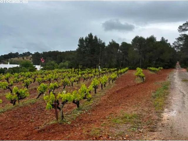 Finca rustica en Venta en Ibiza, Islas Baleares