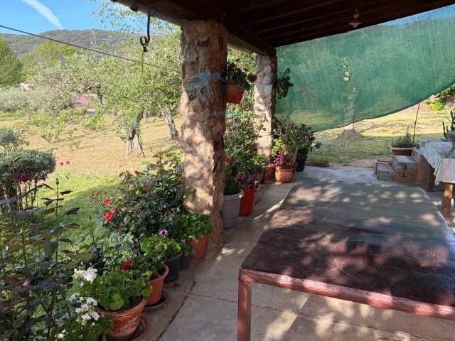 Finca rústica en Venta en Jarandilla de la Vera