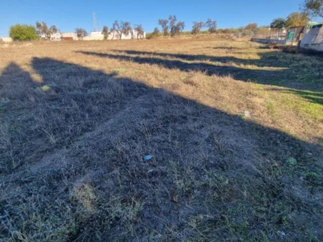 Finca Rústica en Venta en Lucena, Córdoba