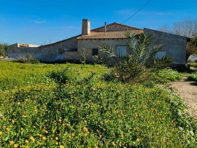 Finca rústica en Venta en La Algoda Matola Llano de San José