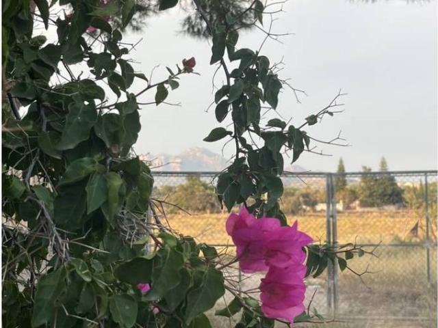 Finca rústica en Venta en La Huerta
