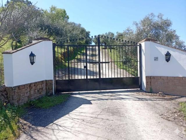 Finca rústica en Venta en La Puebla de los Infantes