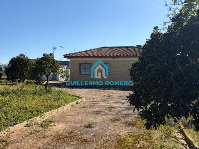 Finca rústica en Venta en La Puebla del Río