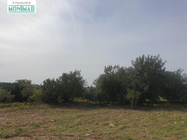 Finca rústica en Venta en La Secuita