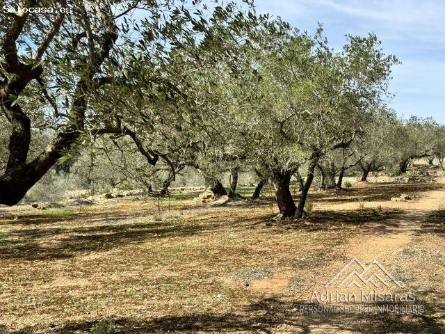 Finca rustica en Venta en LAldea, Tarragona