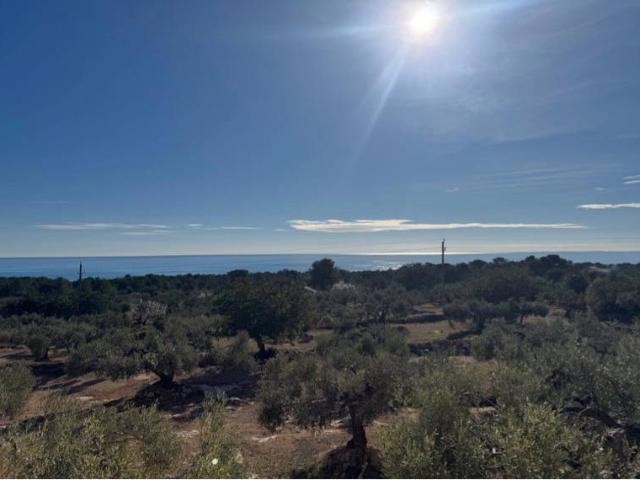 Finca rústica en Venta en L'Ametlla de Mar pueblo