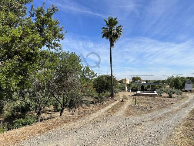 Finca rústica en Venta en Las Cabezas de San Juan