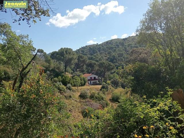 Finca rústica en Venta en Las Jaras