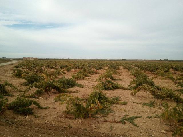 Finca rústica en Venta en Las Mesas