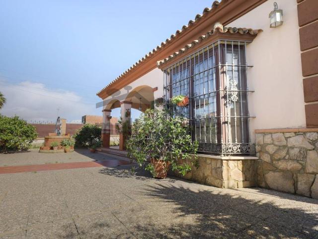 Finca rústica en Venta en Las Palmeras Dehesilla