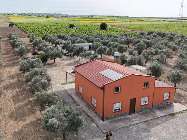 Finca rústica en Venta en Lebrija