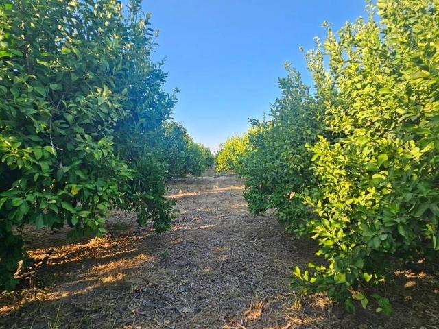 Finca rústica en Venta en Librilla