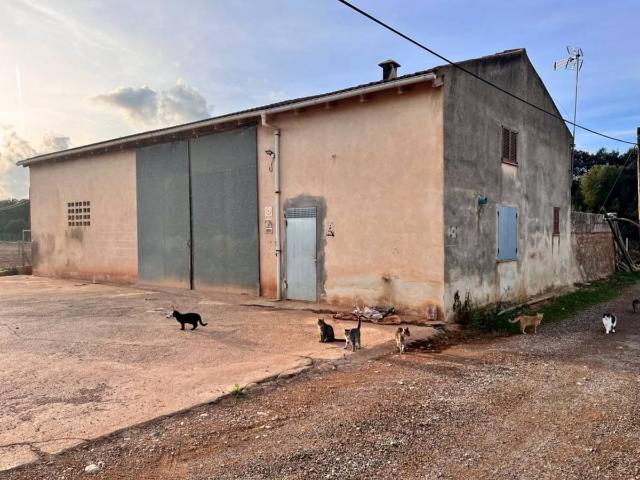Finca rústica en Venta en Llubí
