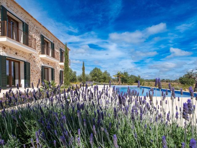 Finca rústica en Venta en Llucmajor pueblo