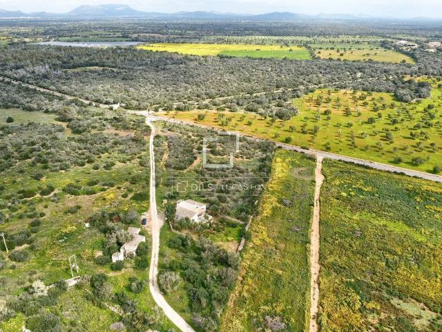 Finca rústica en Venta en Llucmajor pueblo