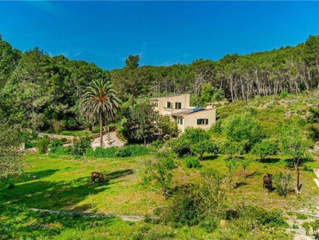 Finca rústica en Venta en Llucmajor pueblo