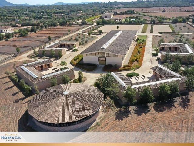 Finca rústica en Venta en Llucmajor pueblo