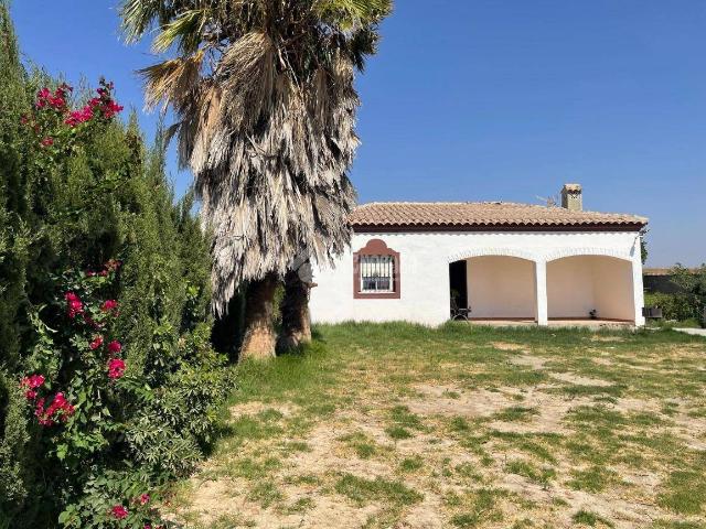 Finca rústica en Venta en Los Franceses – La Vega