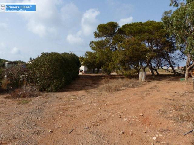 Finca rústica en Venta en Los Nietos