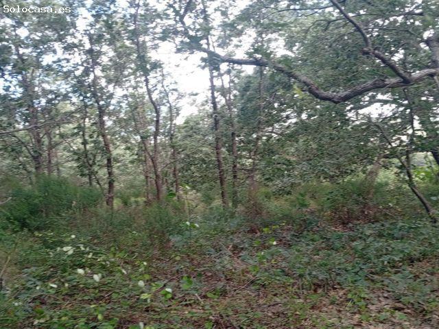 Finca rustica en Venta en Losar de la Vera, Cáceres