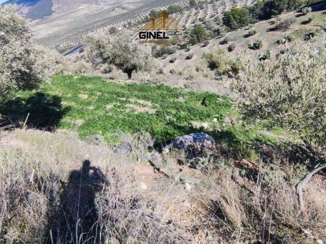 Finca rústica en Venta en Puente Jontoya Puente de la Sierra El Arroyo